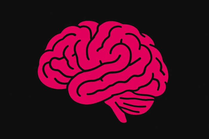 Perception de la musique, cerveau stylisé en magenta représentant les zones cérébrales impliquées dans la perception sonore et l’émotion musicale sur fond noir